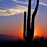 Litchfield Park, Arizona | West Valley Pawn